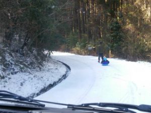 そりで雪の林道散歩